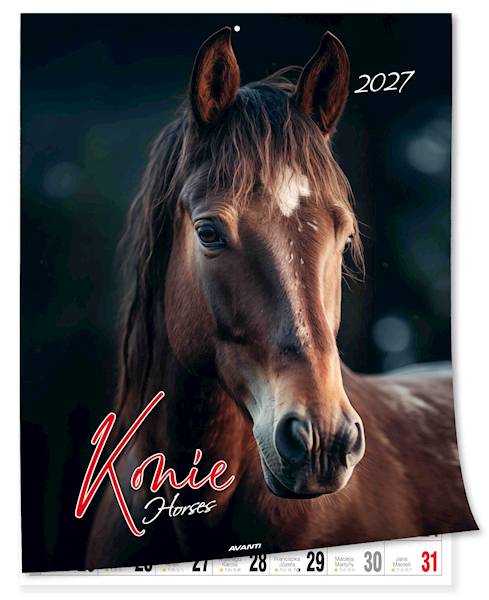 Kalendarz 2027 Avanti 30,5x23cm Konie