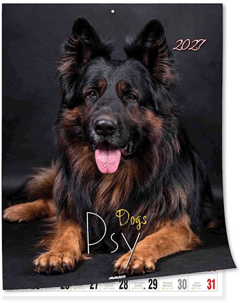 Kalendarz 2027 Avanti 30,5x23cm Psy