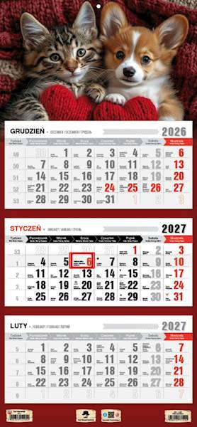 Kalendarz 2027 PK Ścienny Trójdzielny. Przyjaciele
