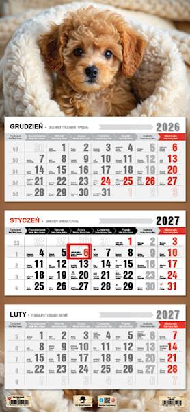 Kalendarz 2027 PK Ścienny Trójdzielny. Piesek