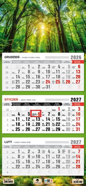Kalendarz 2027 PK Ścienny Trójdzielny. Las
