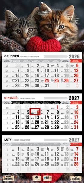 Kalendarz 2027 PK Ścienny Trójdzielny. Kotki