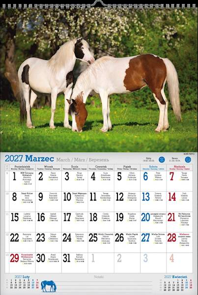 Kalendarz 2027 PK Ścienny A3 P7 Wakacyjne konie