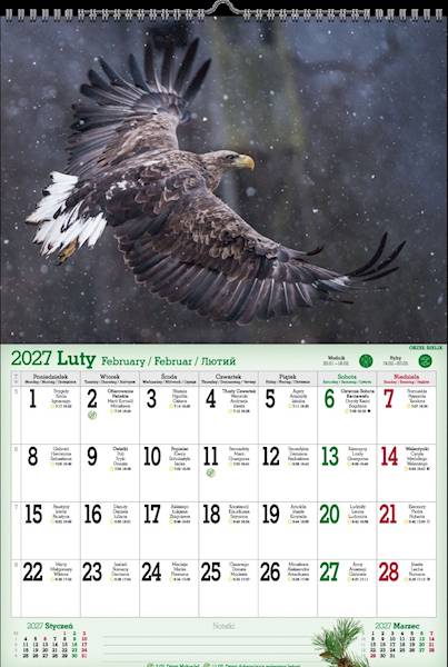 Kalendarz 2027 PK Ścienny A3 P7 Mieszkańcy puszczy