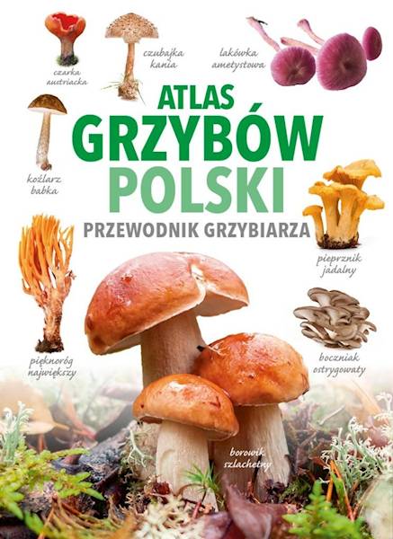 Atlas grzybów Polski Ringier Axel 
