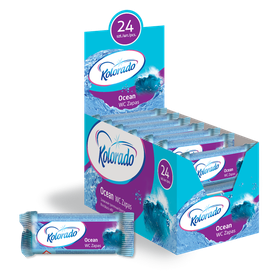 KOSTKA WC ZAPAS 40g