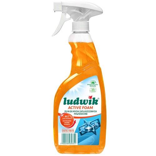 LUDWIK ACTIVE FOAM 600ml