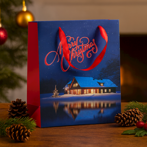 Torebka świąteczna na prezenty 25x20