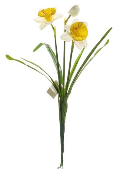 Bukiet Żonkili  48cm