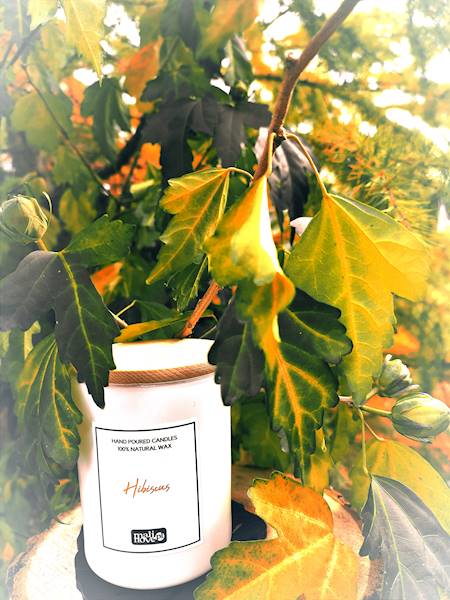 Świeca sojowa HIBISCUS 250ml