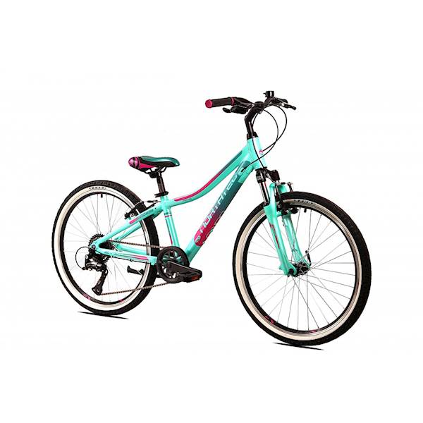 Rower Northtec Raido Junior 20" ziel-nieb-mat 10"