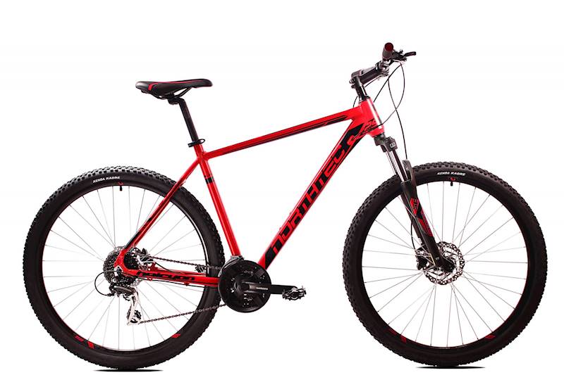 Rower Northtec MTB 29" Halcyon DB AC czarny czerwony 19"
