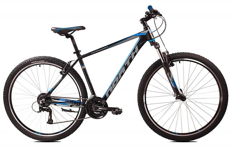Rower Northtec MTB 29" Halcyon VB AC czarny niebieski 21"