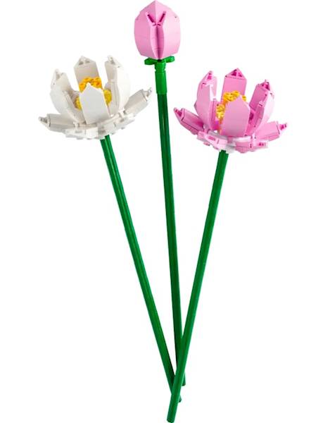 LEGO Botanicals 40647 Lotus Flowers