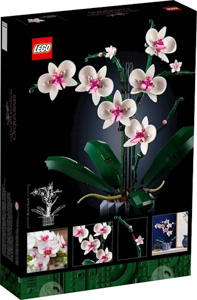 LEGO Botanicals 10311 Orchid