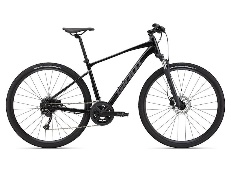 Giant Roam 2