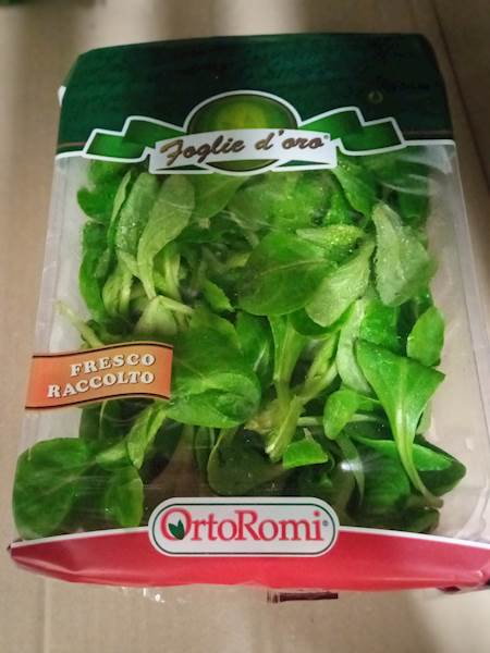 SAŁATA ROSZPONKA MYTA 100g KL.I IT