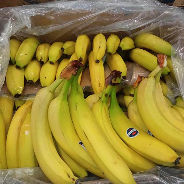BANAN EC Columbia