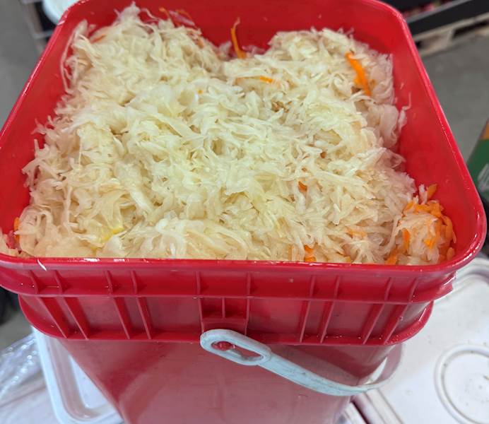 KAPUSTA KISZONA wiadro 14kg IGNASZAK