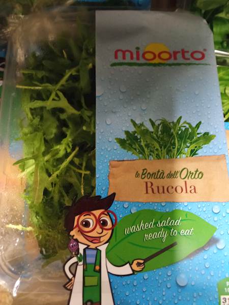 SAŁATA RUCOLA IT MYTA KL.I