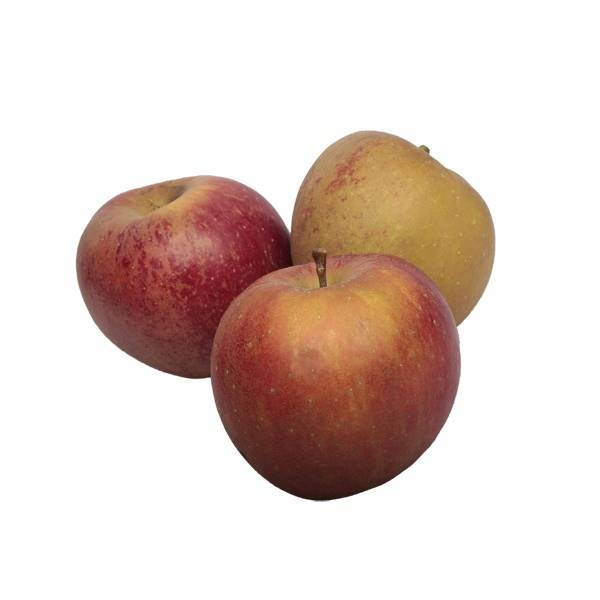 JABŁKO BOSCOP LUZ PL KL.I