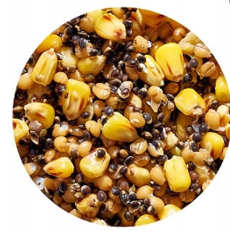 ZIARNO GENLOG SUPER MIX NATURALNE 1KG