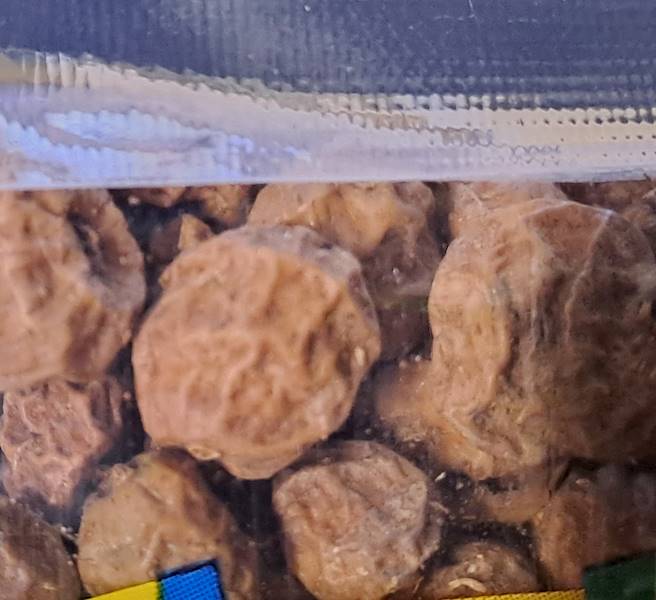 Orzech Tygrysi SUCHY 1Kg