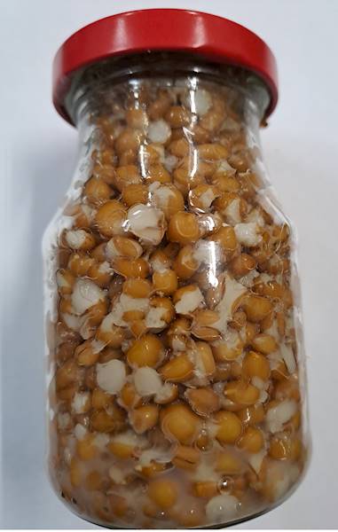 PSZENICA ELDORADO SŁOIK 150g