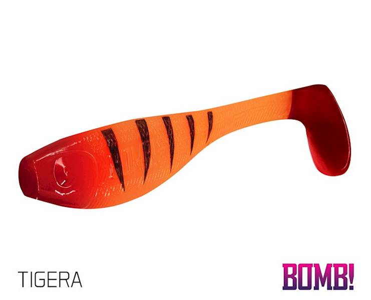 Sztuczna przynęta/guma BOMB! Fatty | 10cm 5szt MIX