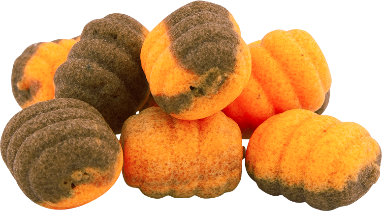 Poczwarki MAGNUM Wafters POMARAŃCZA-CZEKOLA 8mm