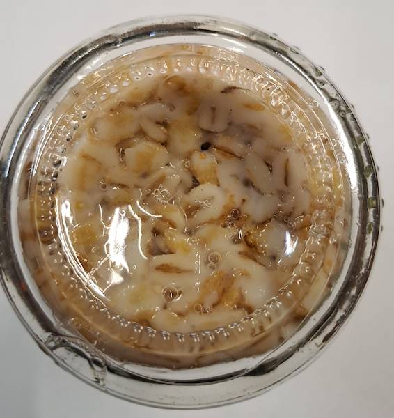 PĘCZAK BIAŁY SŁOIK ELDORADO 150g