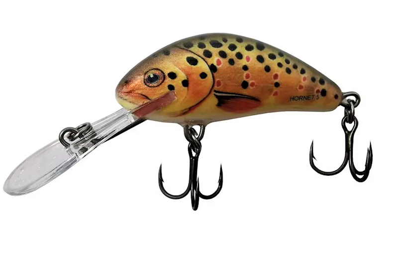Salmo Wobler Hornet 5cm Trout Floating