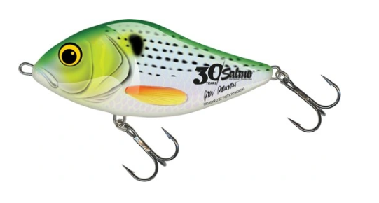 Salmo Slider 10 Sinking LIMITOWANY 10cm/46g