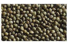 KONOPIA ZIARNO 300G 66992