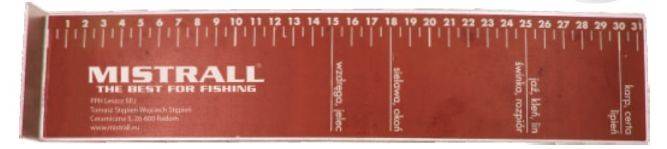 MIARKA MISTRAL 31CM AM-6008596