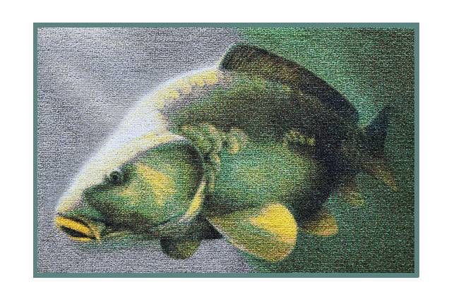 DYWANIK DELPHIN CARP 3D 60X40CM