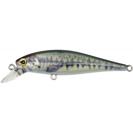 Driftin Shad 65mm 5,5gr 0,3-1m kolor 08