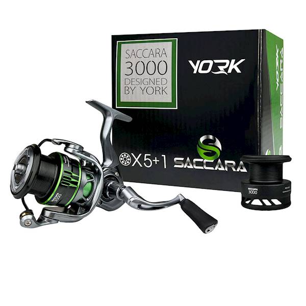 Koł. York Saccara KYSA1000