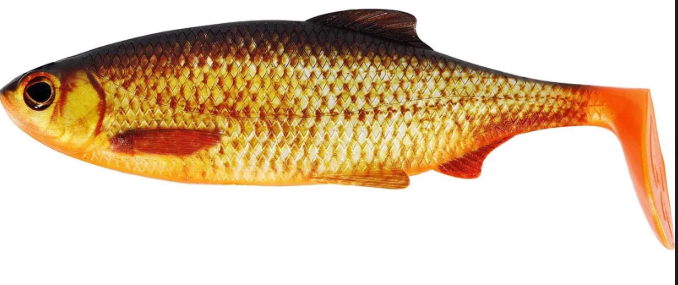 Westin Ricky the Roach 10 cm Real Rudd 1szt