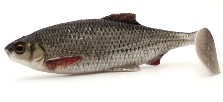 Westin Ricky the Roach 10 cm Real Roach 1 sztuka