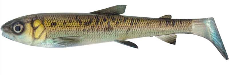 3D WHITEFISH SHAD 17,5 CM 42G GR PERL 1 SZT.