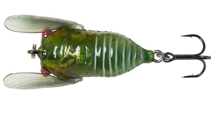 SG 3D CICADA 3,3CM 3,5GR F GREEN