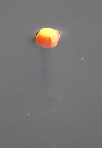 SHORTY PELLET WAGGLER Spławik Drennan 6gr