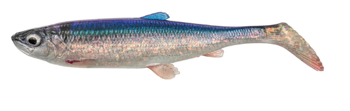 3D HERRING SHAD 15CM 23g HERRING 1SZT