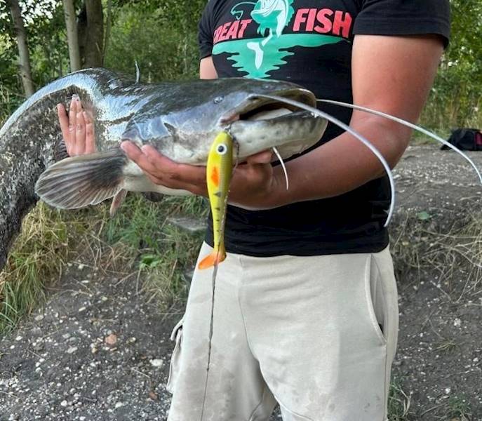 RK0917_przyneta Rocky ripper bait green tiger 17cm