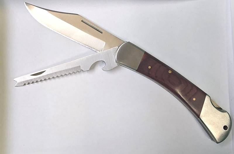 SCYZORYK RELP  NR 17