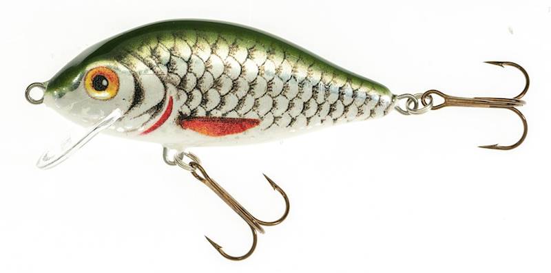 WOBL.JAX.HS KARAŚ 9cm F JB VJ-KA9FJB