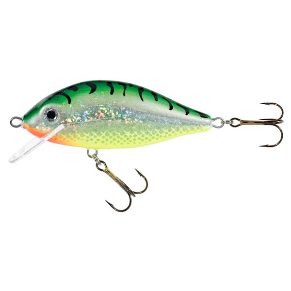 WOBL.JAX.HS KARAŚ 8cm F ST
