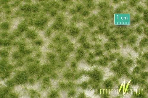 Tuft MiniNatur: - Krótka wiosenna trawa 42x15 cm