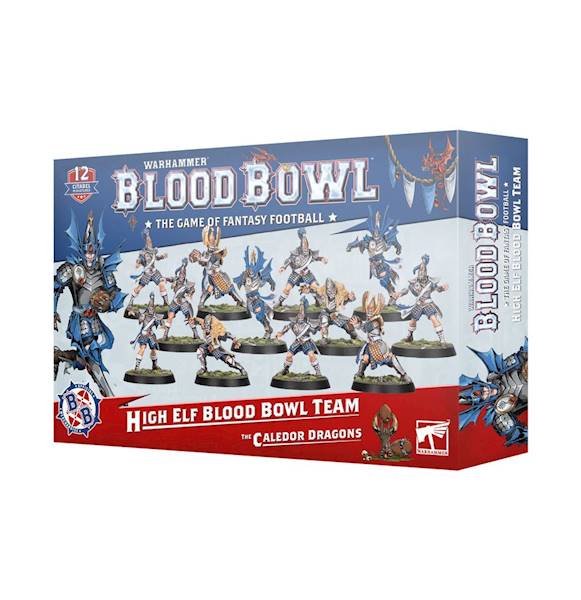 Blood Bowl Team High Elf